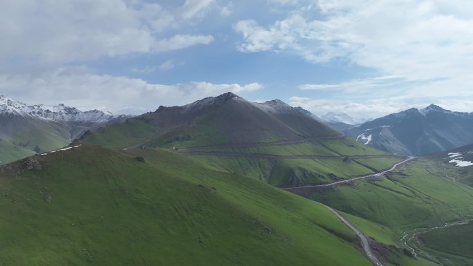 高山草甸