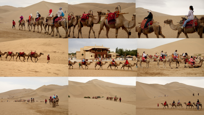 骆驼沙漠骑骆驼