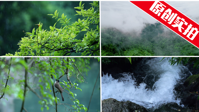 大自然雨水森林山川河流云雾水资源瀑布