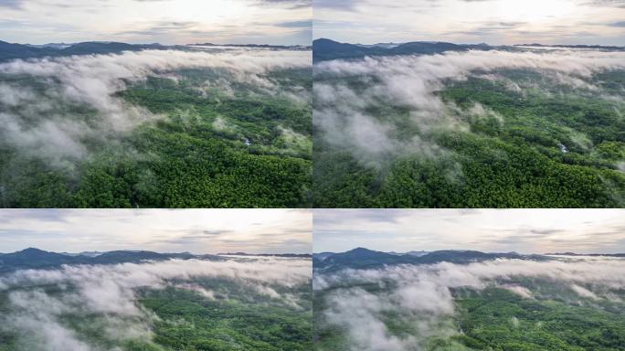 海南热带雨林国家森林公园晨雾航拍延时