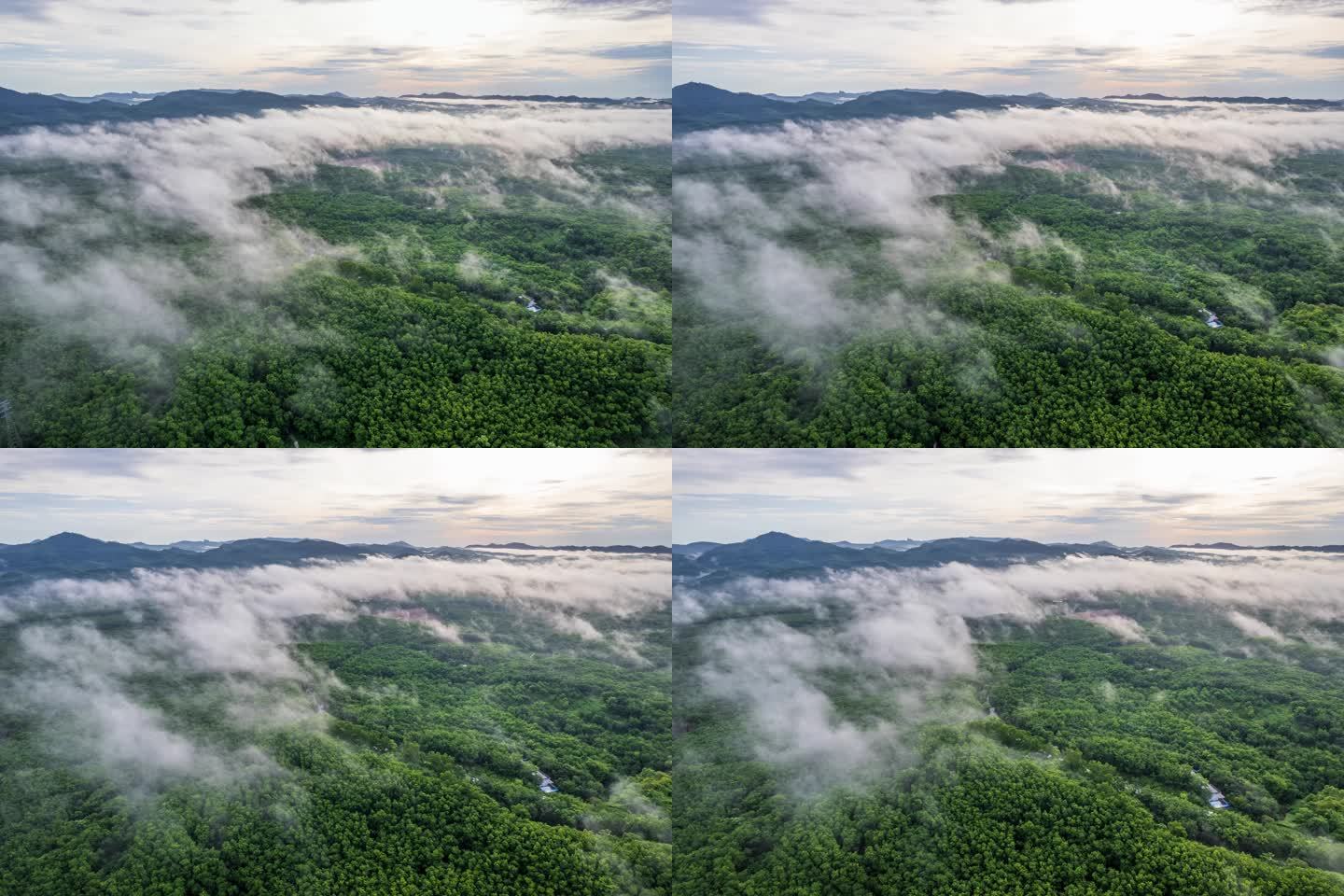 海南热带雨林国家森林公园晨雾航拍延时