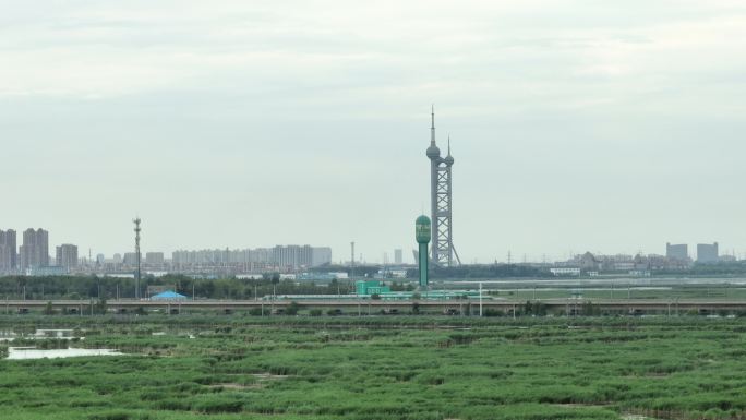 大庆湿地动车经过观鸟台