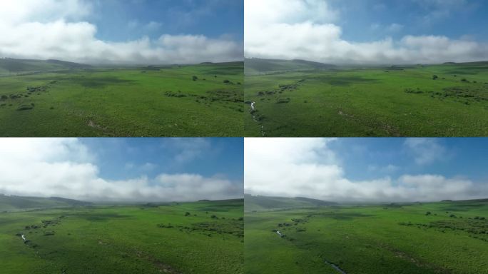 丘陵山地夏日风景