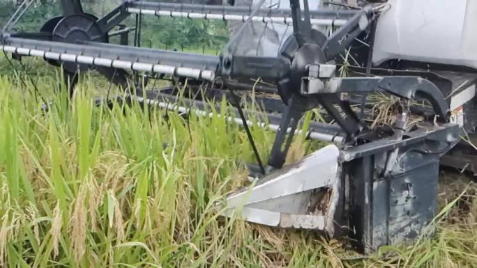 水稻收割机收割割稻谷机械化生产农业器械