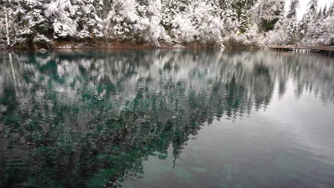 冰川湖水雪山树原始