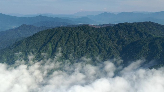 航拍 延时 云海 森林 国家公园