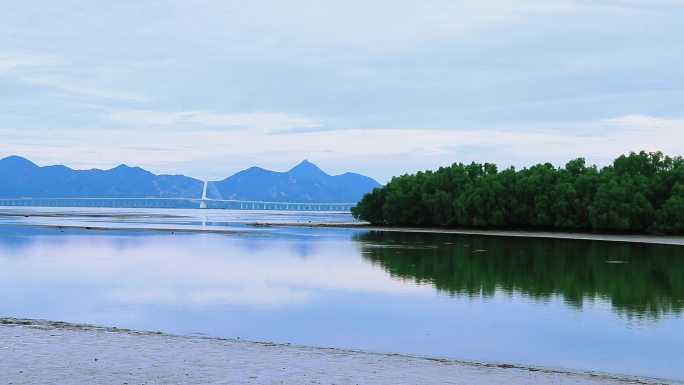 海边 海面 海边公园 绿植