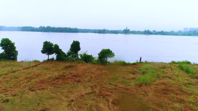 绿色 生机勃勃 海边风景