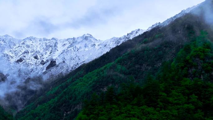 4K航拍川西阿坝州毕棚沟风光美景