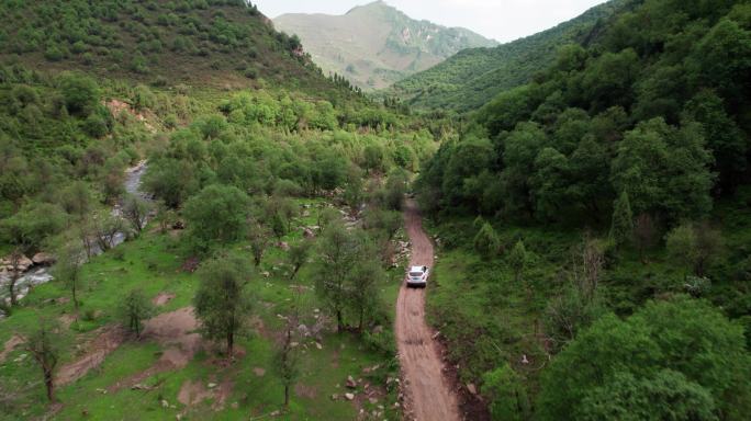 探险密林河谷山路行车航拍