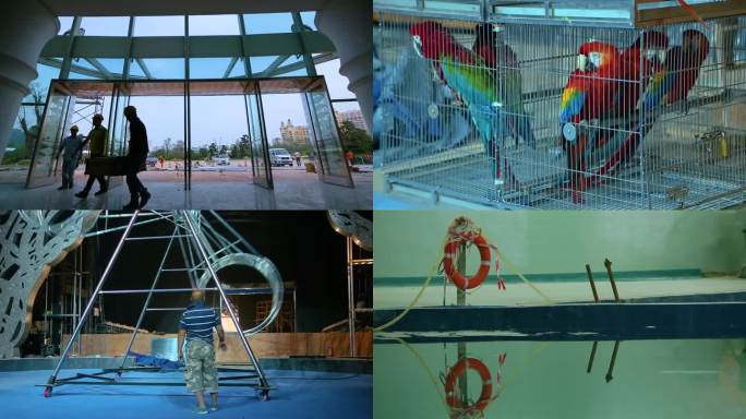 海洋馆 游乐场 动物表演