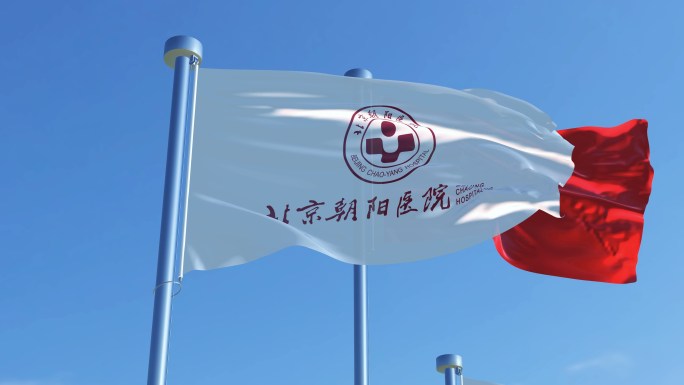 北京朝阳医院旗帜