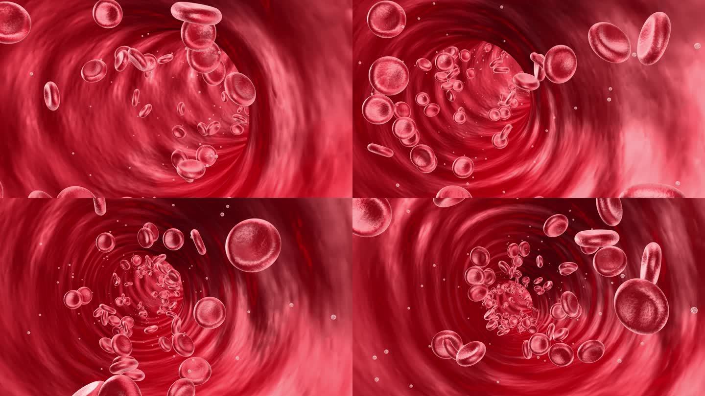 血管内血液流淌红细胞4K画质