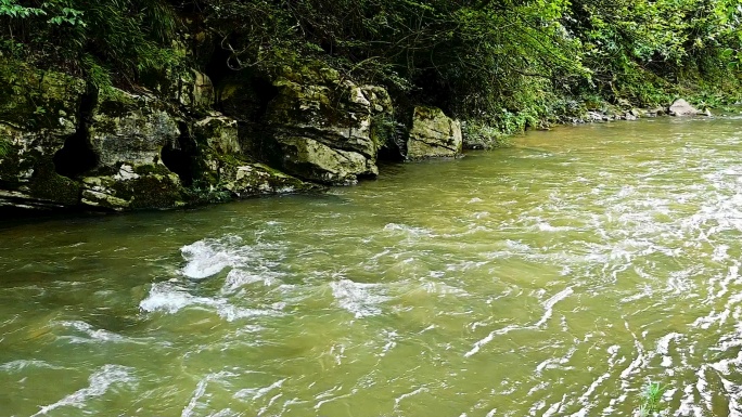 漂流河山涧流水实拍素材