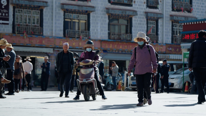 西藏虫草市场