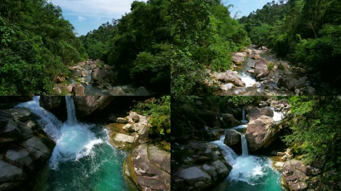 4k森林大自然流水风景树林山水