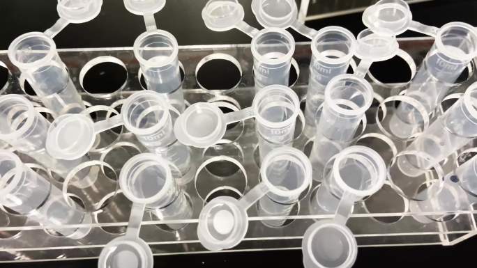 实验生物实验实验室实验器皿研发生物专业