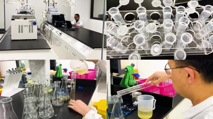 实验生物实验实验室实验器皿研发生物专业