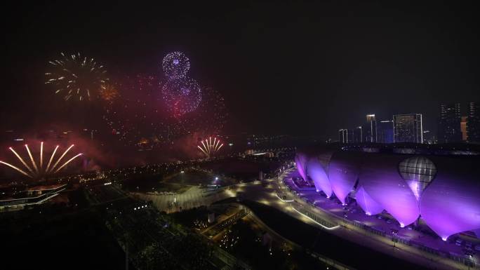 杭州奥体新年元宵烟花秀全景