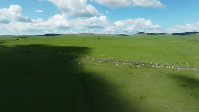 航拍晴朗夏日午后内蒙古呼伦贝尔草原