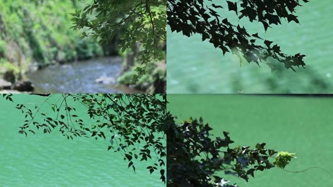 夏日溪水绿树