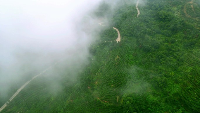 山间的清晨 绿水青山