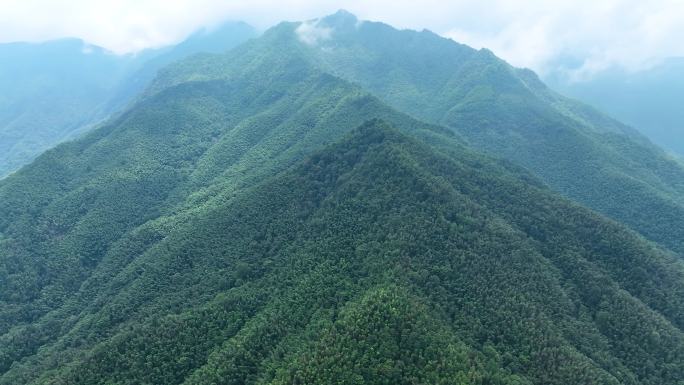 4K航拍大围山深山原始森林丛林峻岭12