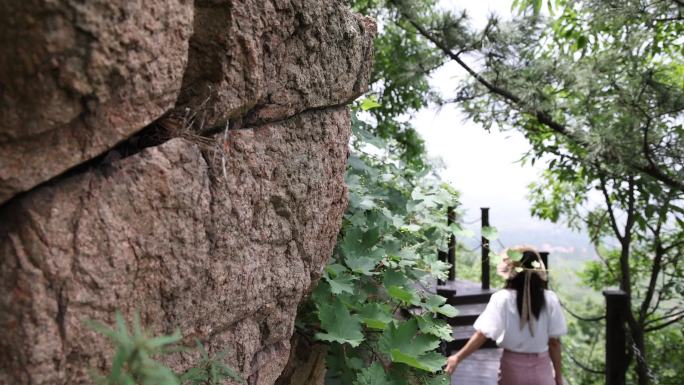 年轻的旅游女子在山顶徒步旅行 美女登山