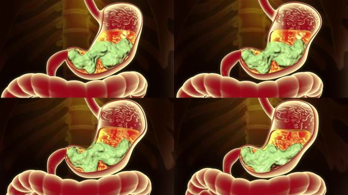 胃酸分泌胃蠕动