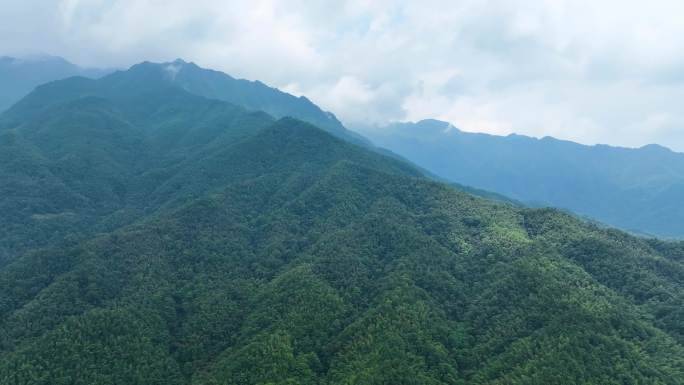 4K航拍大围山深山原始森林丛林峻岭14