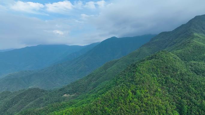 4K航拍大围山深山大山原始森林丛林峻岭4