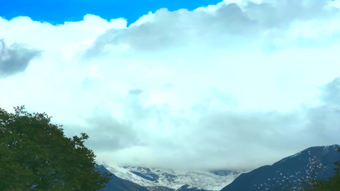 西藏林芝雪山云雾树木前景延时摄影