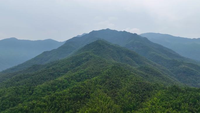 4K航拍大围山深山原始森林丛林峻岭10