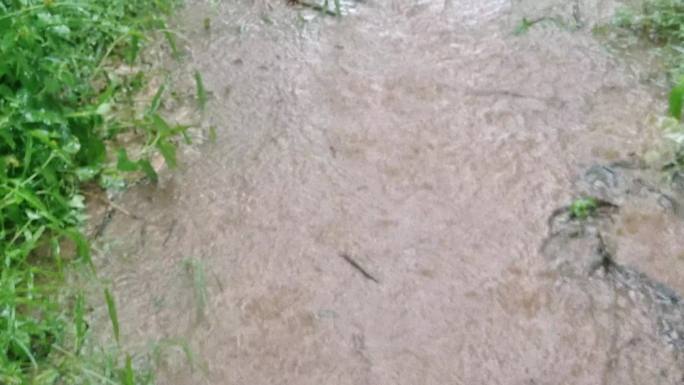 滂沱强降雨雷声雨点大雨雨滴泥泞路泥浆雨滴