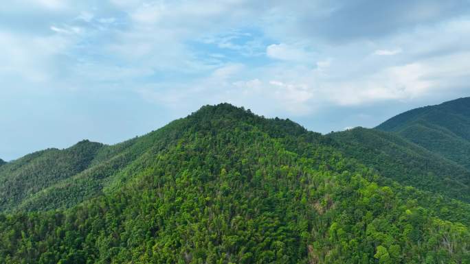 4K航拍大围山深山原始森林丛林峻岭合集4