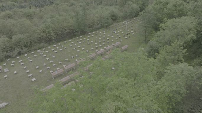 蜜蜂生态养殖基地4K航拍log素材