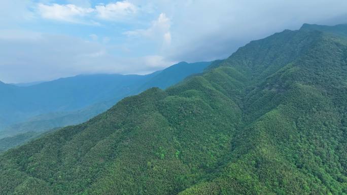 4K航拍大围山深山原始森林丛林峻岭19