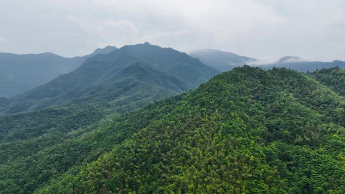 4K航拍大围山深山原始森林丛林峻岭11