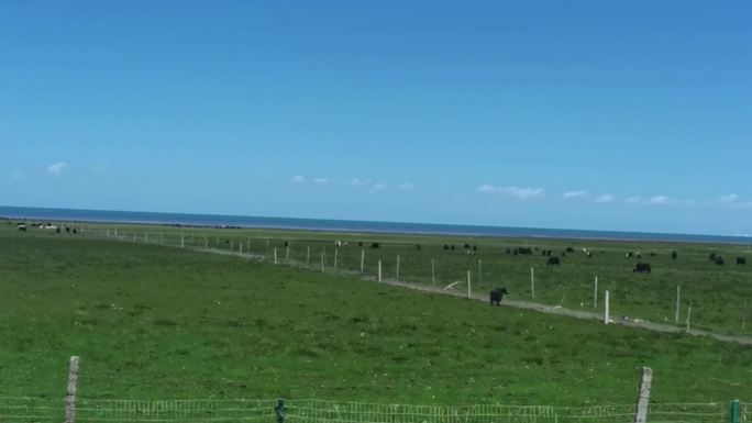 环青海湖旅游公路