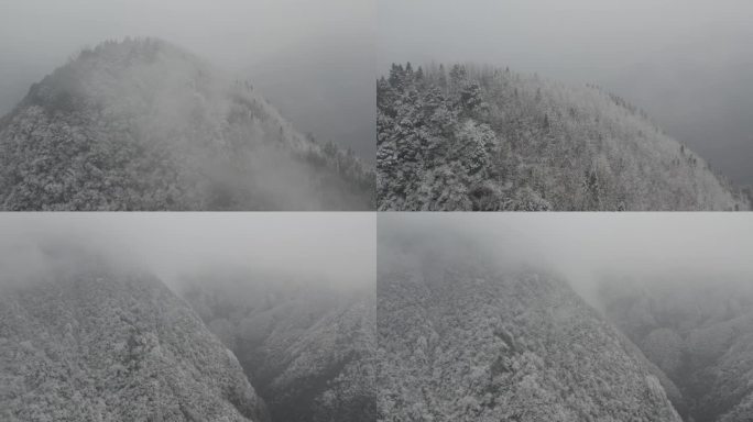 鸡冠山雪景4K60帧