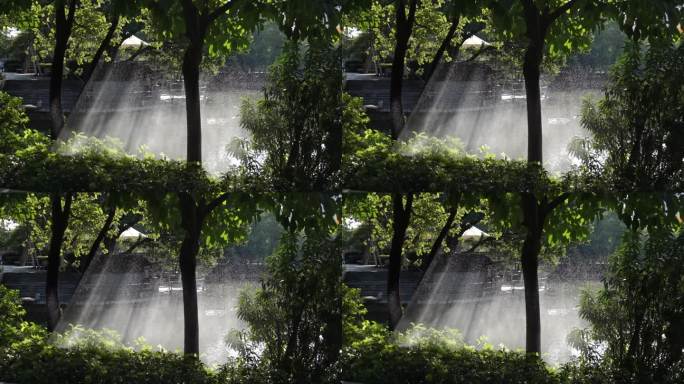 绿色公园里自动喷洒机在阳光下浇灌着树木