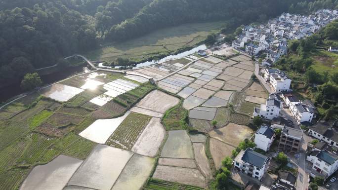 南方乡村耕地航拍