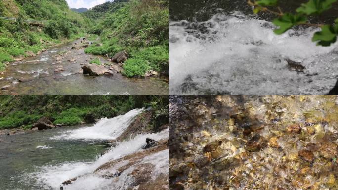 森林避暑小溪溪水野外自然和流水