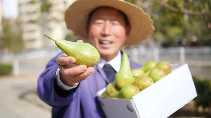 青啤酒梨