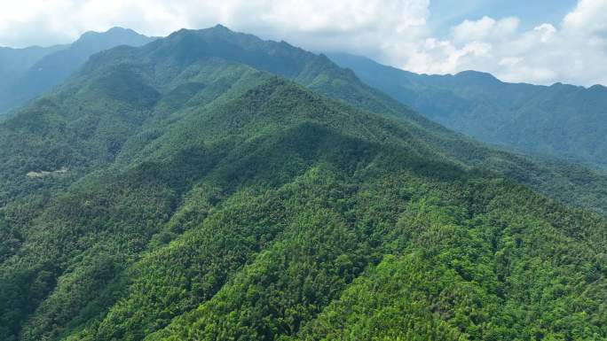 4K航拍大围山深山原始森林丛林峻岭16