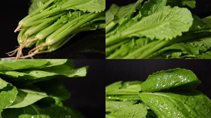 绿色蔬菜快菜视频素材