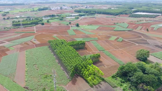 田野 土地 耕种田地 黄土地 农民用地