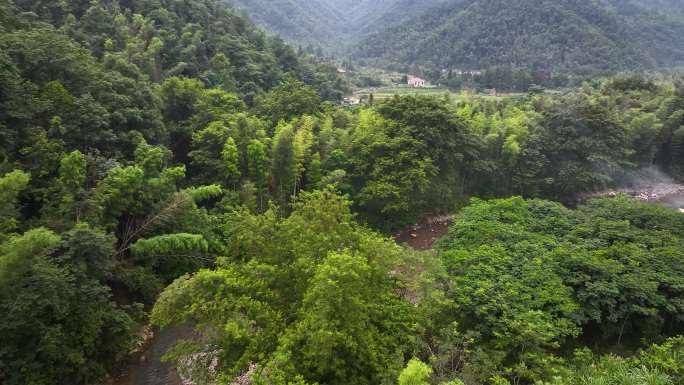 4K航拍大围山小溪畔夏日户外溯溪游玩合集