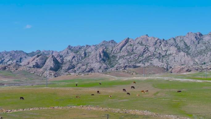 4K航拍新疆阿勒泰福海县萨尔布拉克草原