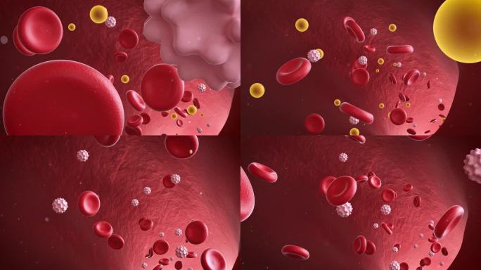 血管红细胞流淌MP4